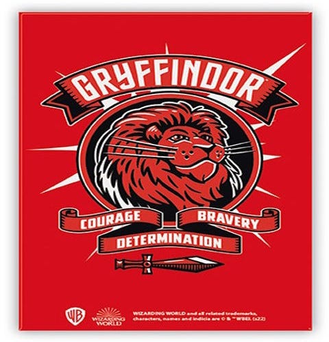 Block Harry Potter - Magnet - Pop Color - Gryffondor X6