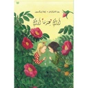 أراك عندما أراك