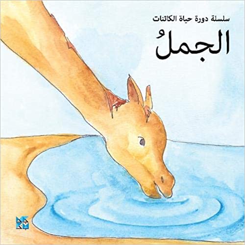 سلسلة دورة حياة الكائنات: الجمل