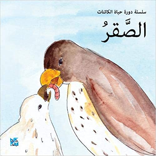 سلسلة دورة حياة الكائنات: الصقر