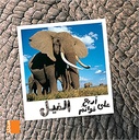 Qawaem-الفيل