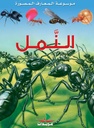 م. المعارف المصورة/النمل