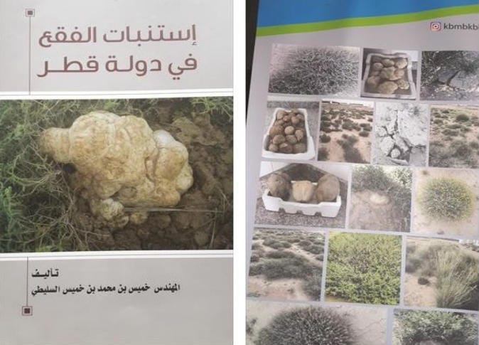 إستنبات الفقع في دولة قطر