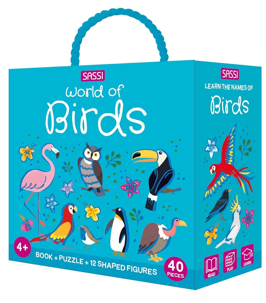 Q-BOX - BIRDS