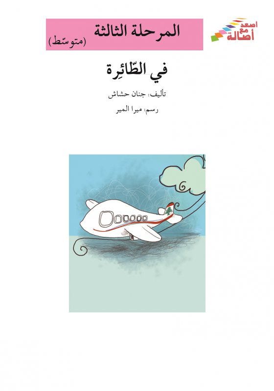 في الطائرة