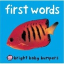 Bright Baby Foam: First Words