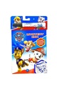 Mystery Ink Paw Patrol