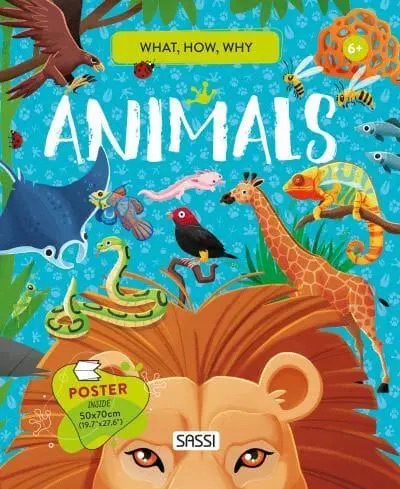 Q&A (Infn) Animals