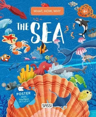 Q&A (Infn) Sea
