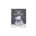 Avery Aviator Braves the Arctic Book