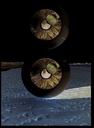 Pink Floyd - Pulse (Mounted & Frame)