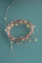Copper Lights