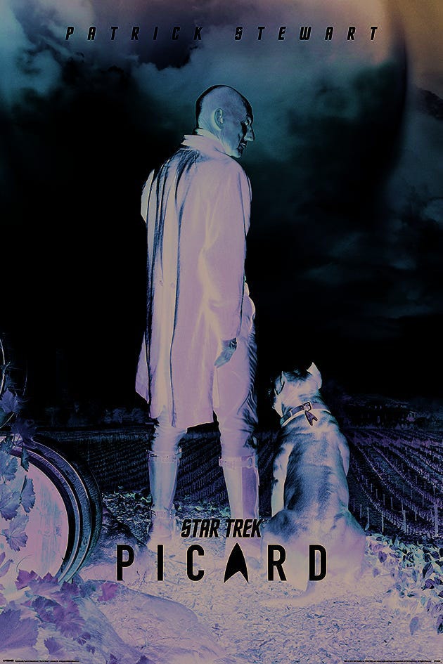 Star Trek - Picard Number One (Maxi Poster)
