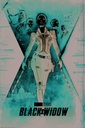 Black Widow - Unfinished Business (Maxi Poster)