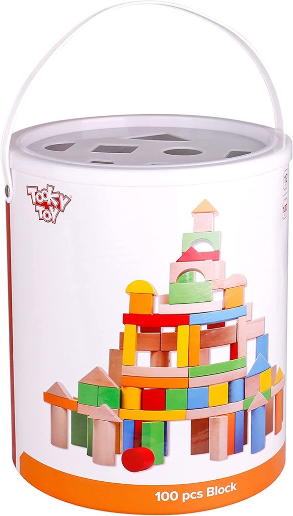 100PCS Blocks