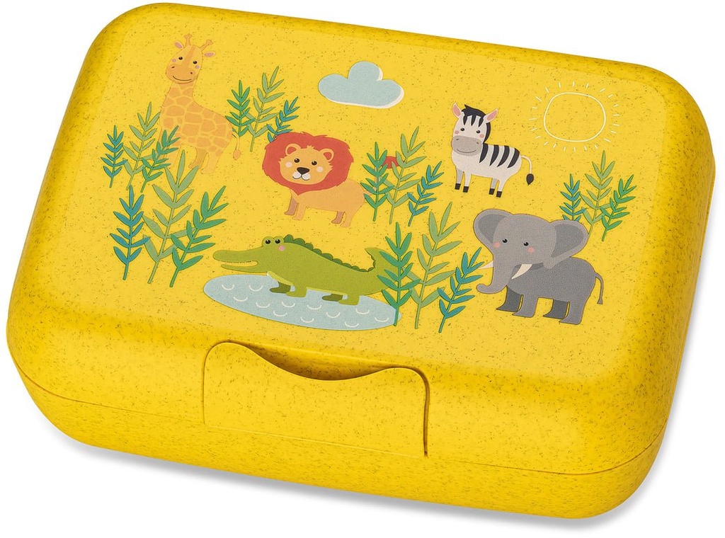 CANDY L AFRICA LUNCH BOX WITH SEPARATION BOWL