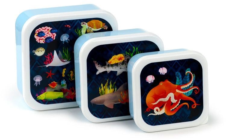 Set Of 3 Lunch Box M/L/Xl Marine Kingdom