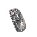 Green Lion Transparent Mouse 2 Modern, Slim & Beautiful Grey