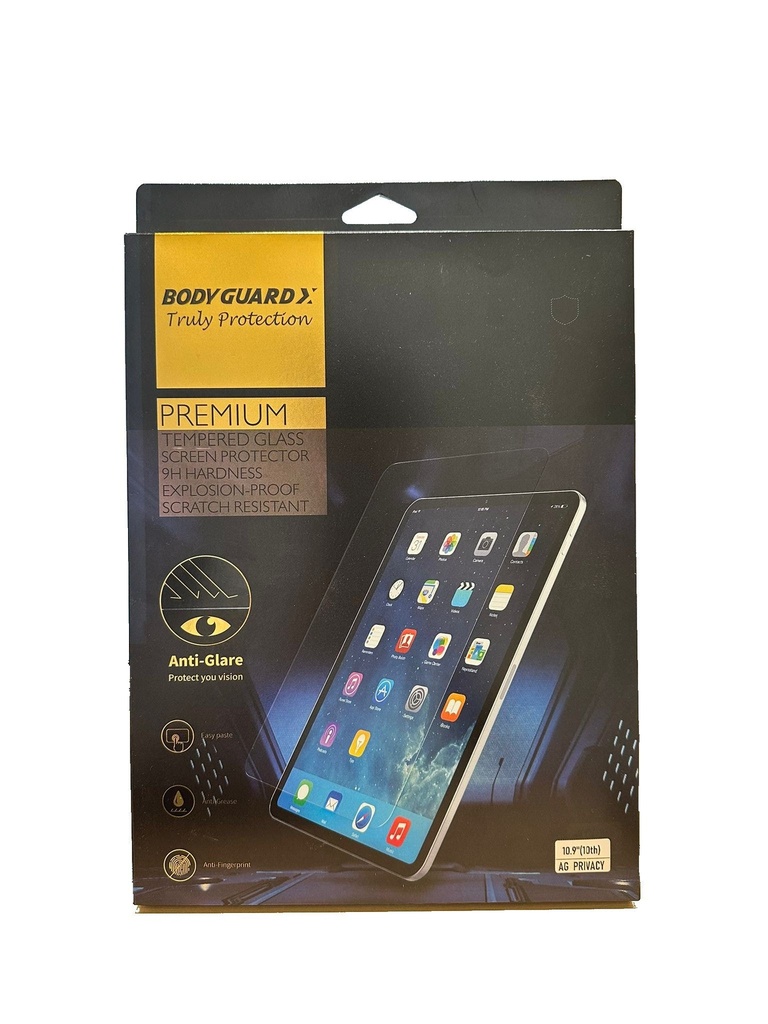 BODY GUARDX PAD GLASS AG PRIVACY 10.9"(10th generation) CLEAR