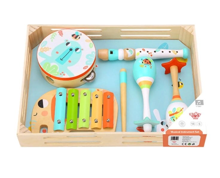 Music Instrument Set
