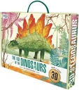 3D MODELS STEGOSAURUS
