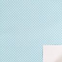 WP Blue Small Dots