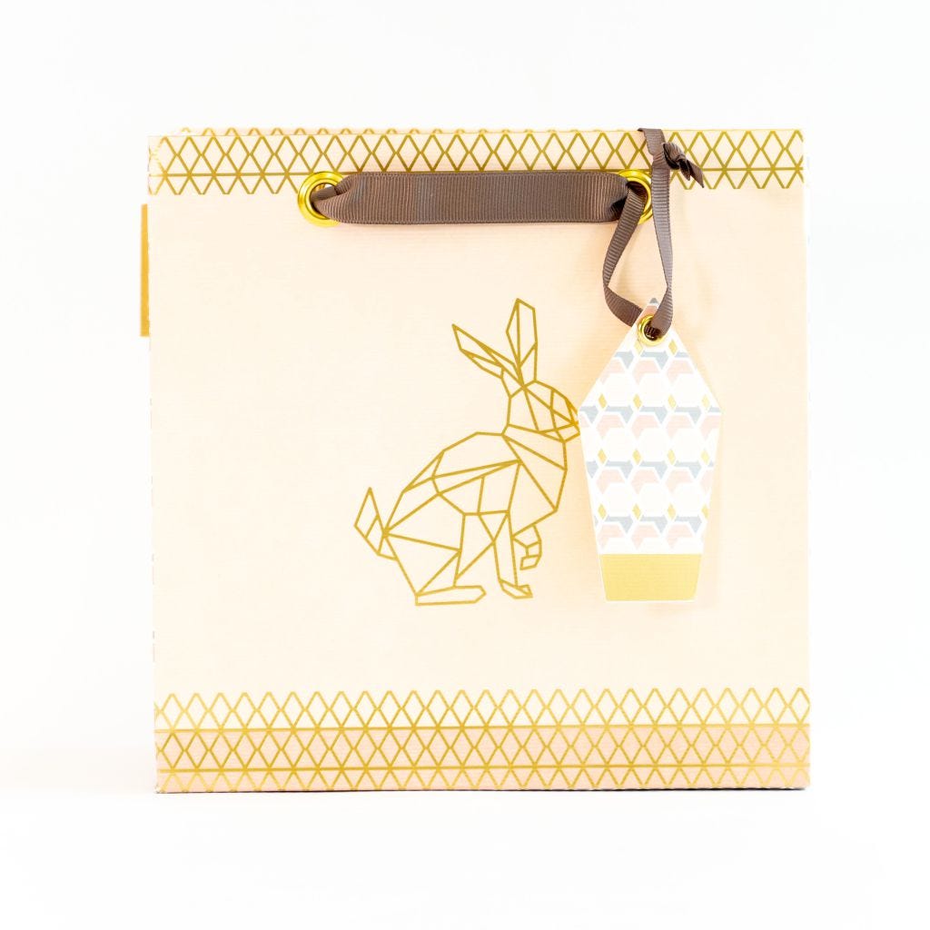 Gift Bag 20x20x11cm