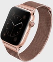 Uniq Dante Apple Watch Series 4 Mesh Steel Strap 40mm Rose(Rose Gold)