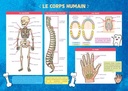Les Posters de l'école : Corps humain