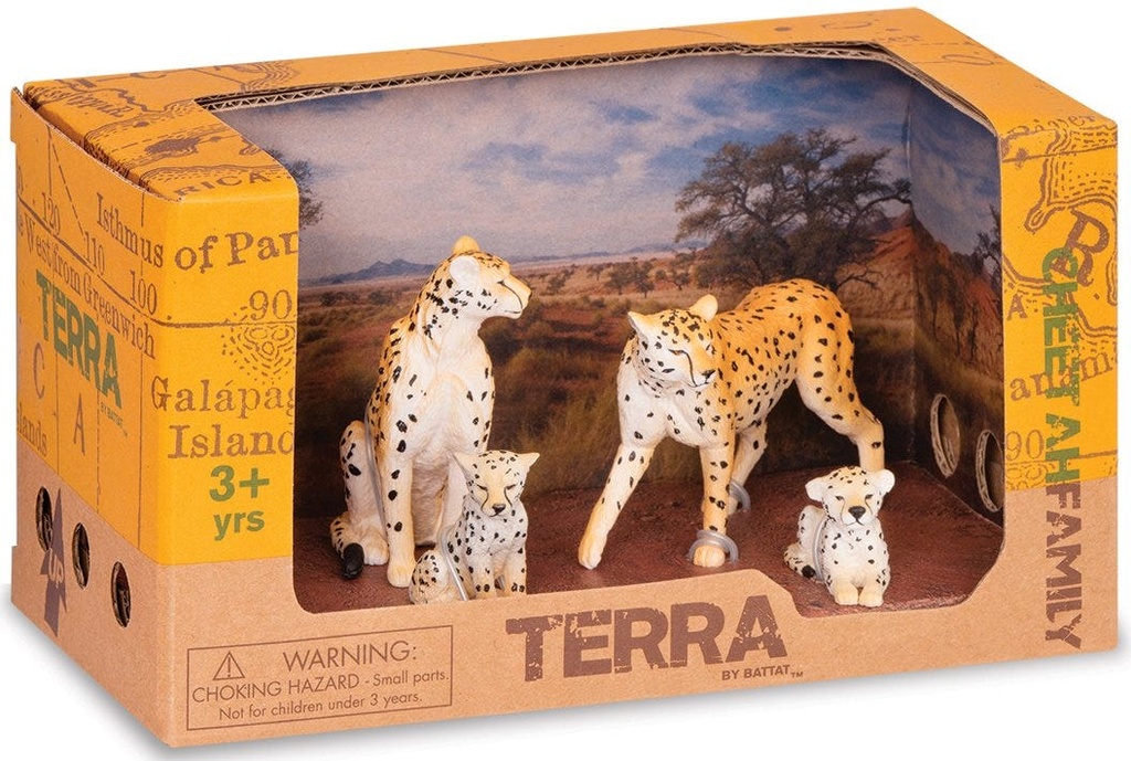 Cheetah Family
