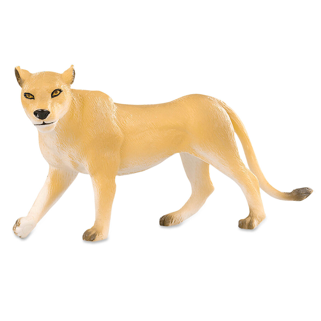 Lioness