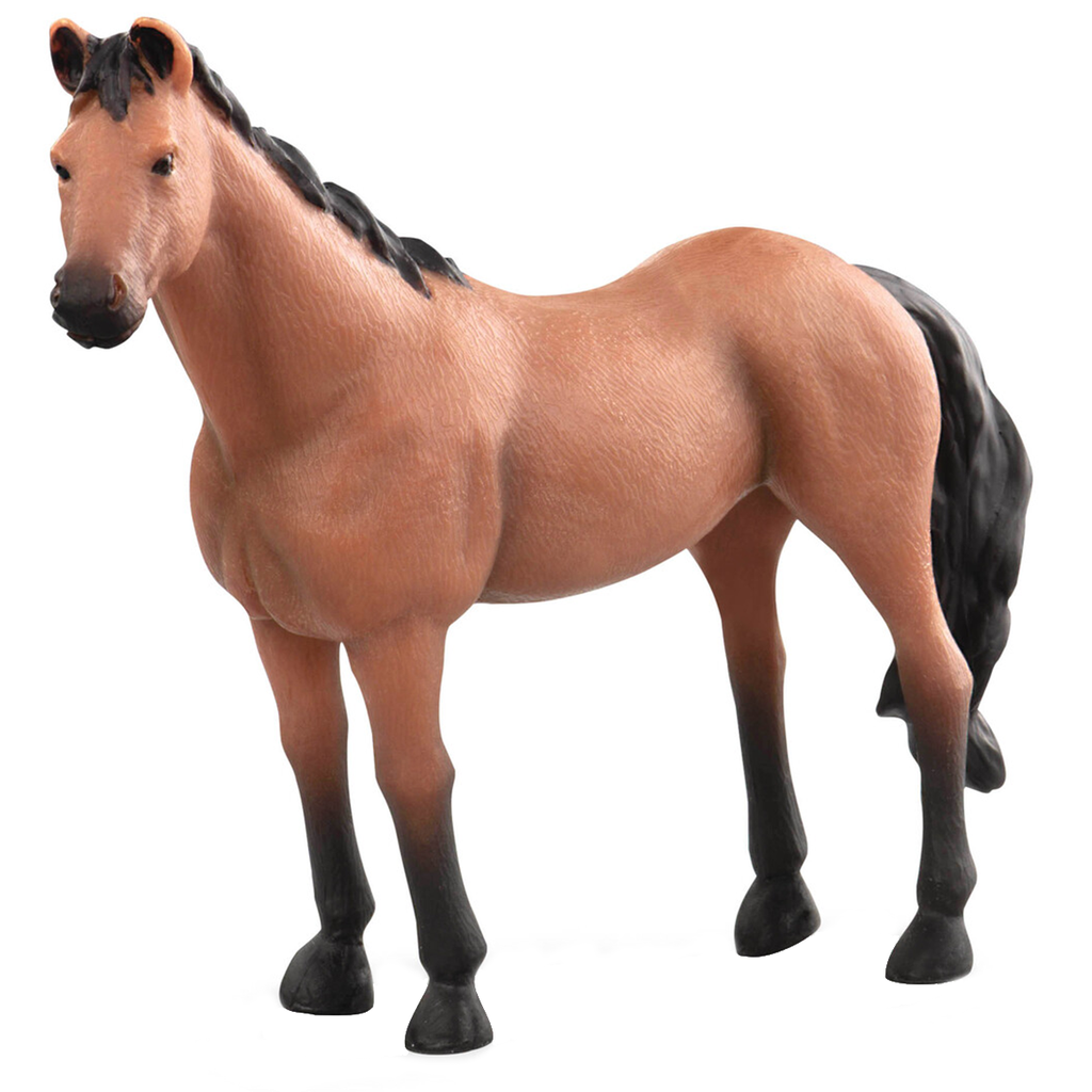 Thoroughbred Horse