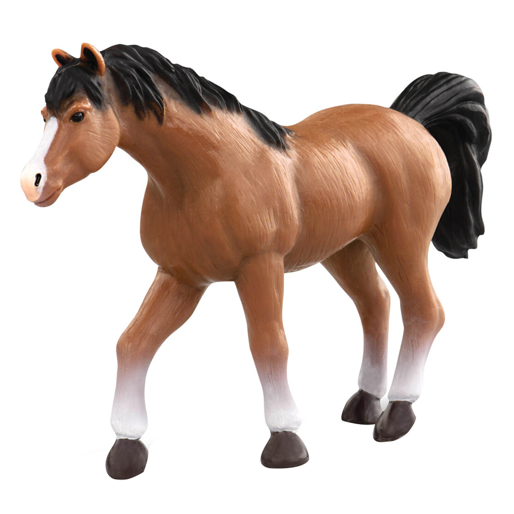 Arabian Stallion