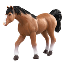 Arabian Stallion