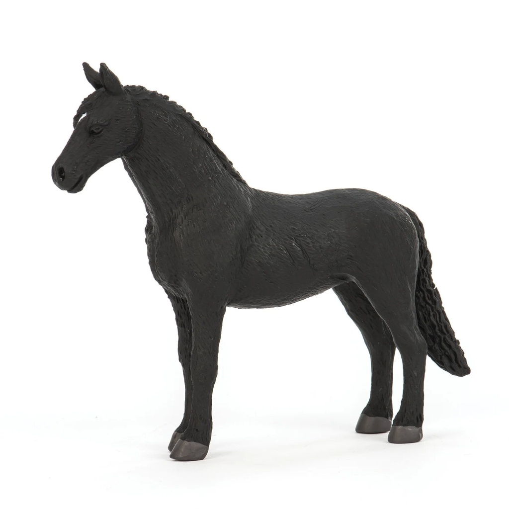 Friesian