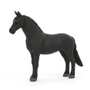 Friesian