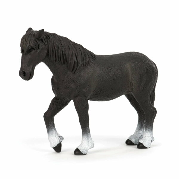 Percheron
