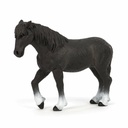 Percheron