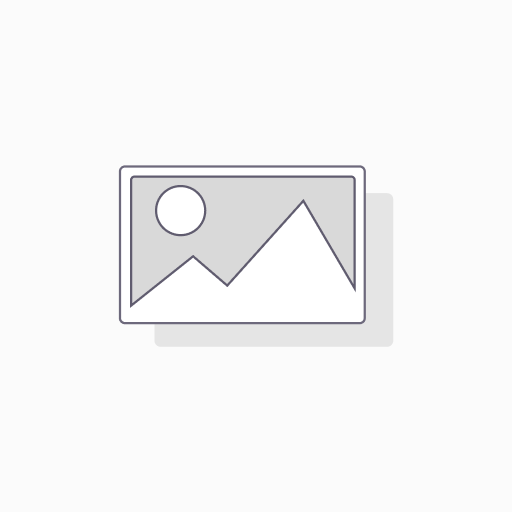 Money Envelope Single -RE24-10C