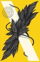 Acceptance (The Southern Reach Trilogy, Book 3)