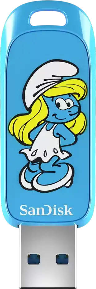 SanDisk Smurf USB Flash Drive 256GB, Up to 130MB/s