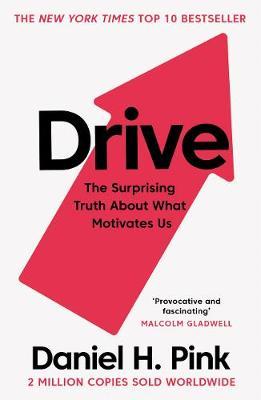 Drive: The Surprising Truth About What Motivates Us/