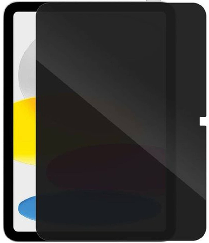 Smartix Ultraguard Privacy Screen Protector for iPad A16 11"