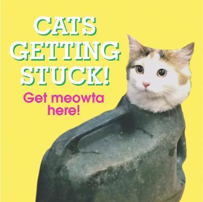 Cats Getting Stuck!