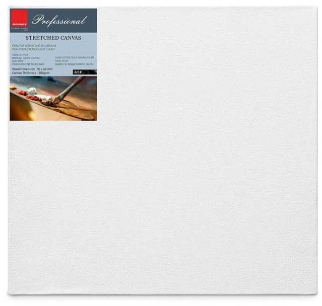 Stretched Canvas - 48x60 / 122 X 152 cm 380 Gsm - White - Professional
