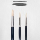 Goc/Gac Brush 211/8-12-16 Fsc#