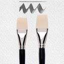 AAC BRUSH 600 SET XXL FSC#
