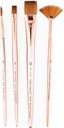 Cc Pro 4Pc Wash Variety Brush-Rcc Pro102