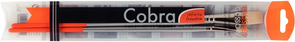 COBRA BRUSH SET#