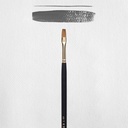 Rembrandt Oil & acrylic brush series 240 no. 6